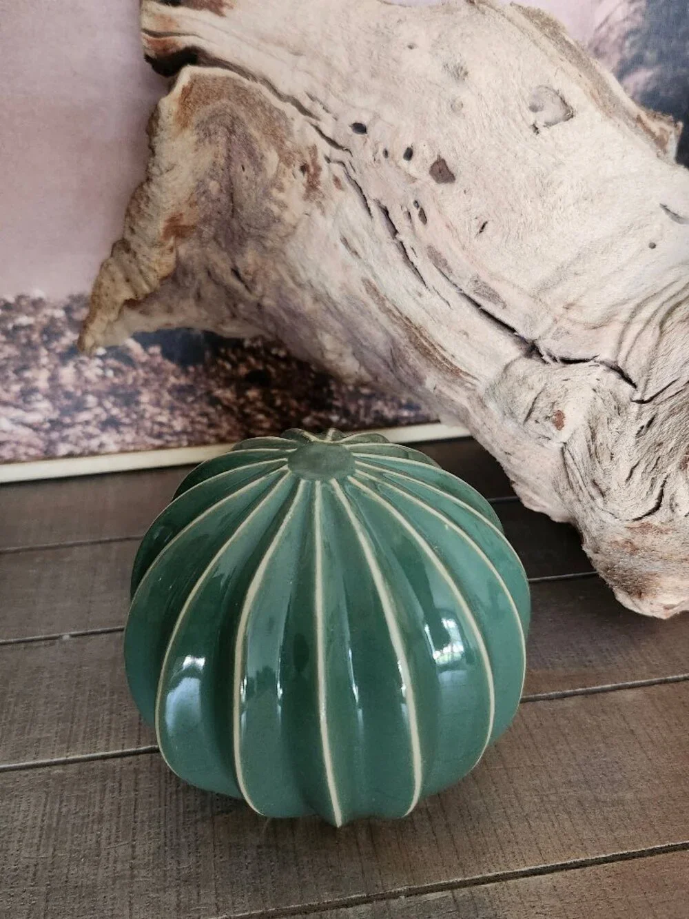 IKEA SJÄLSLIGT Ceramic Cactus Decor Set of 3 Boho Desert Southwestern-Themed